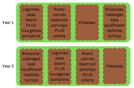 Crop rotation diagram